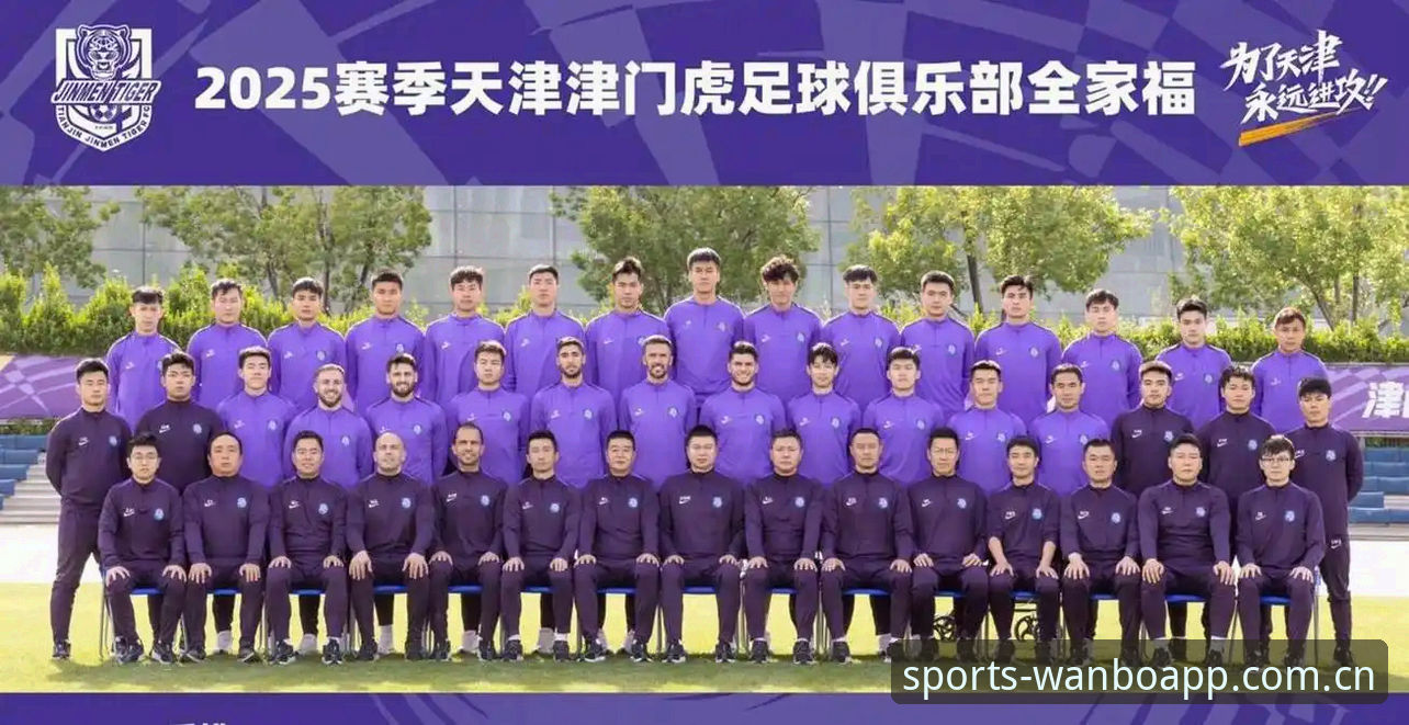 中国区万博世界杯APP下载 天津津门虎夏窗零操作背后的战术博弈,资深用户分享中超休赛期观赛门道